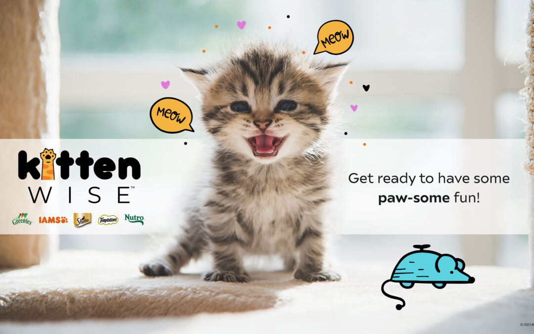 Success Stories: Mars Petcare’s ‘KittenWise’